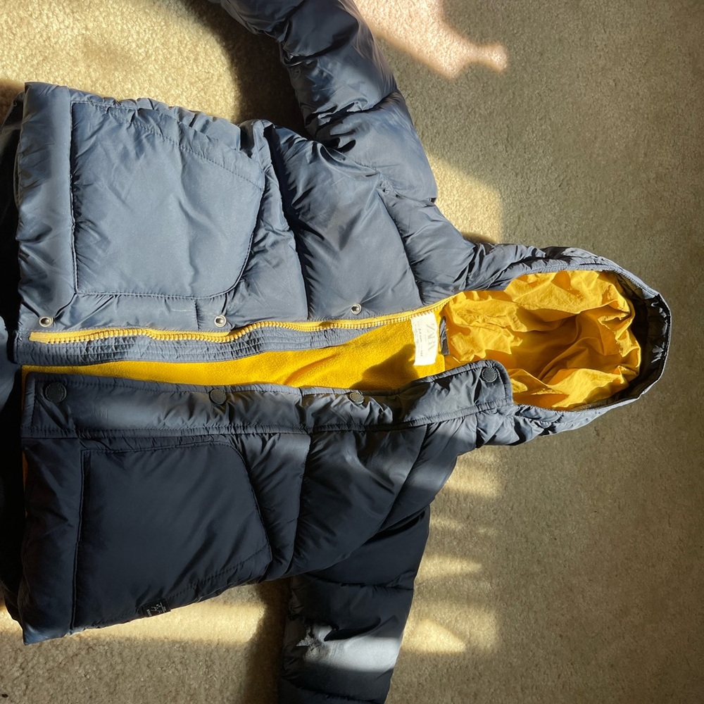 Zara Kids Dark Blue Puffer Jacket with Mustard Lining